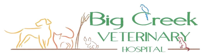 Big Creek Veterinary Hospital